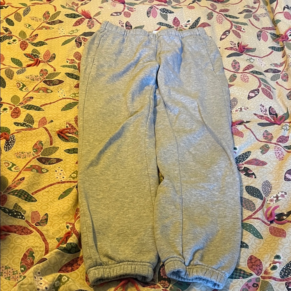 DSG Light Gray Women's Jogger Pants